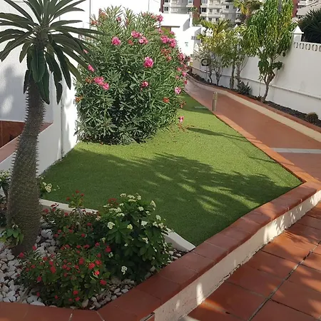 Martina 67 Sur Y Sol Los Cristianos * Los Cristianos (Tenerife)
